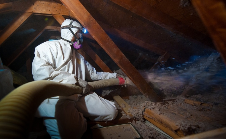 WAP- Blowing Attic WAP- Blowing Attic